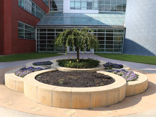 A photo of Frame of Life, Rowan University Public Art Project.